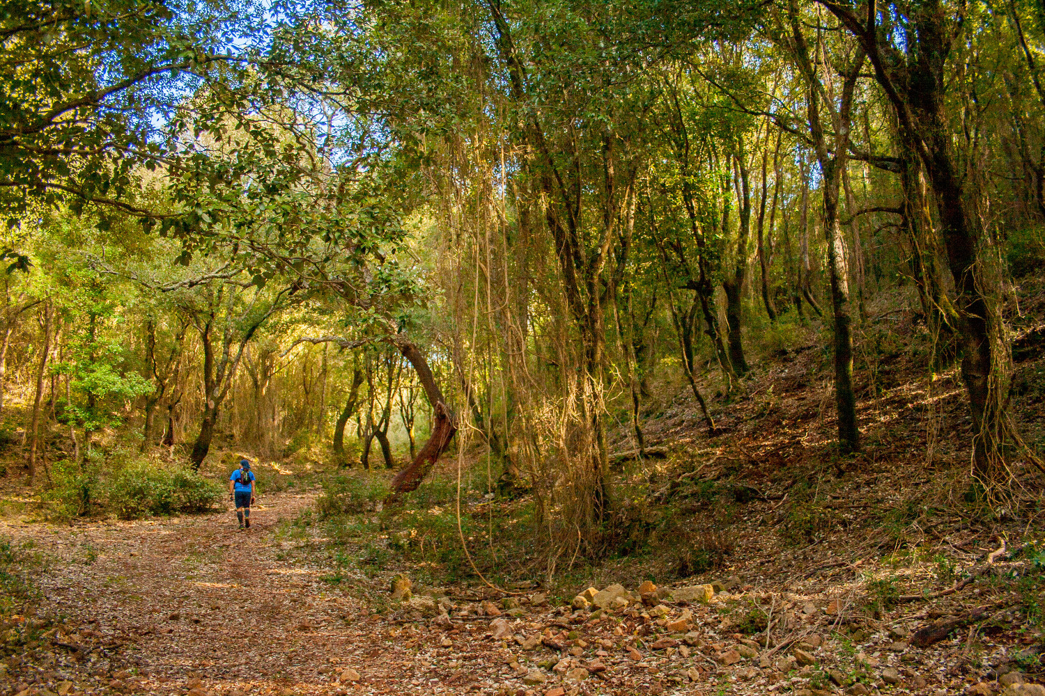trail del marganai
