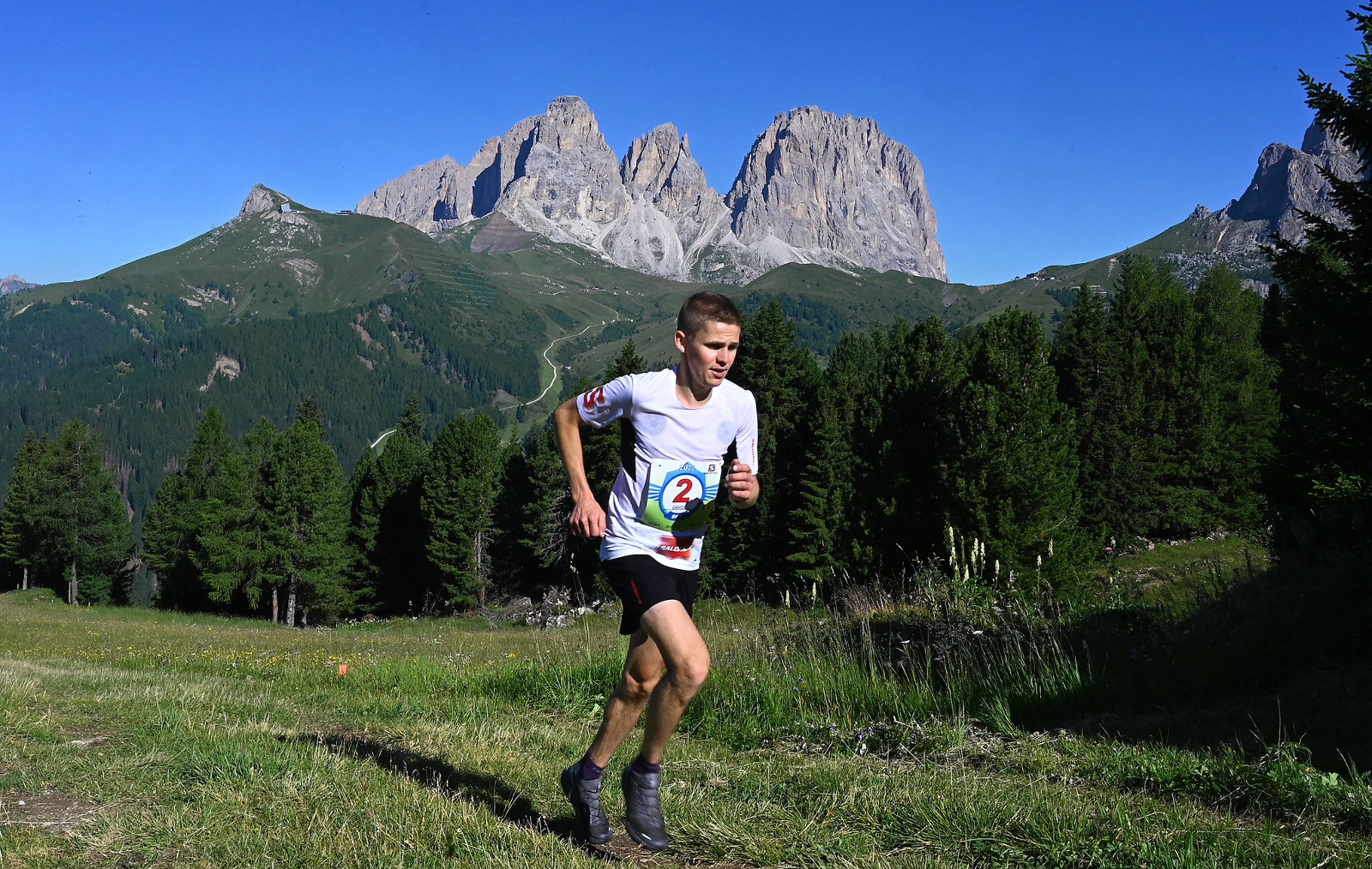 davide magnini