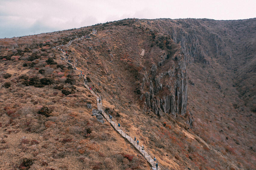 transJeju 01 0006