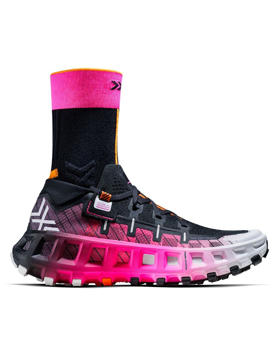 xbio00313 01 1 1