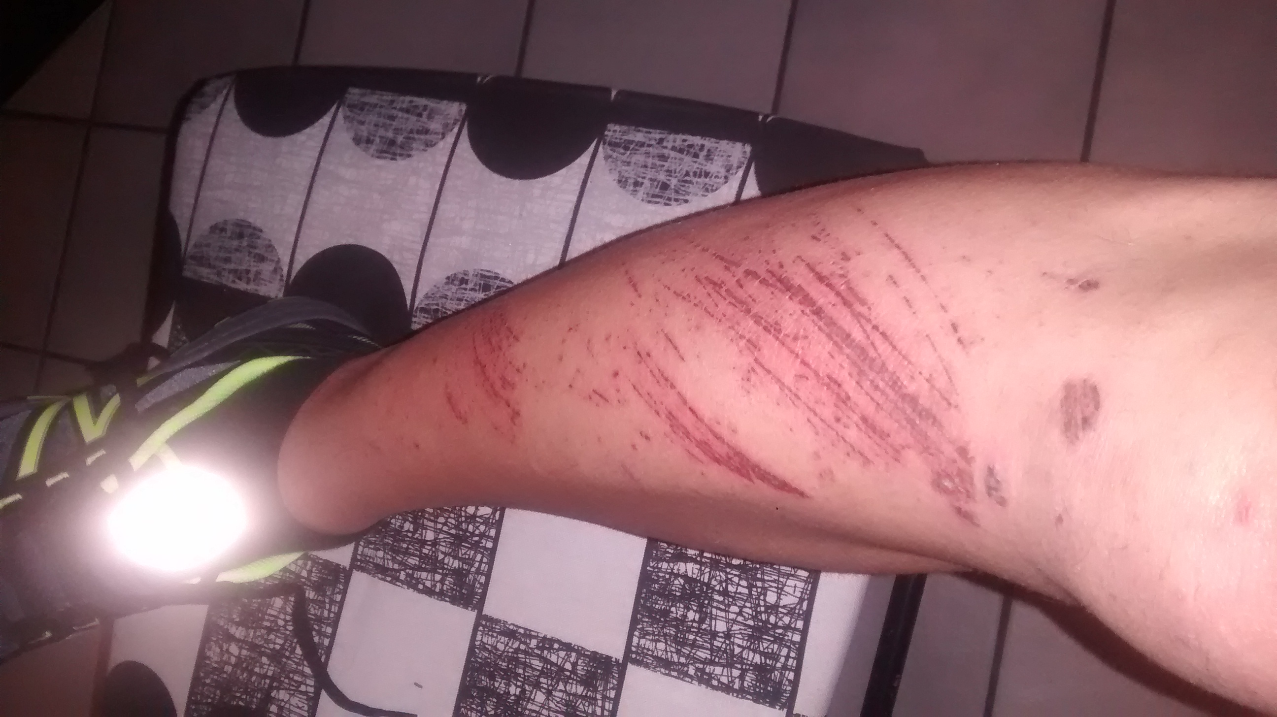 il fango dà, il fango toglie