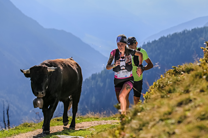 utmb19 occ fo 00 0054