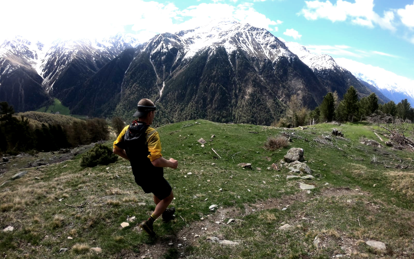 200525 FKT Reiterer (8) r