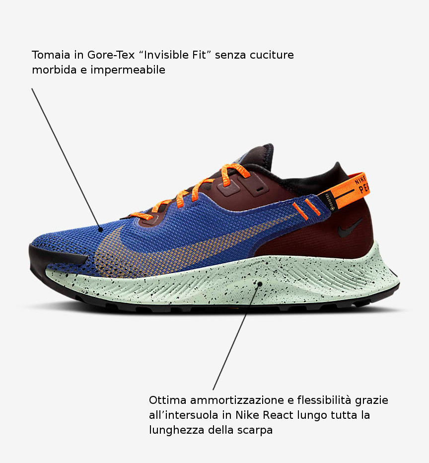 scarpa da trail running pegasus trail 2 gore tex 3mPmtm 2